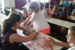 20150704_151530