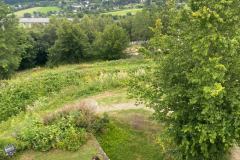 WhatsApp-Image-2024-07-19-at-15.46.23